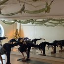 교정요가 이미지