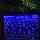 진하해수욕장 명선도 무료 해루질 낚시 모래놀이 후기 및 물때시간 / 아바타 섬 미디어아트 무료관람까지