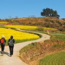 당리 할아버지 이미지