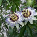 참샘영농조합법인 이미지