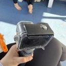 하와이 여행_오션스타 거북이스노쿨링 내돈내산 솔직후기