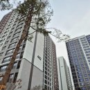 산내스카이부동산공인중개사사무소 이미지