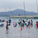 서중어촌체험휴양마을 이미지