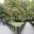주식회사 여행호수 이미지