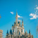 씨스페이스 월배파크점 | 도쿄 디즈니랜드 티켓 입장권 가격 가는법 DPA 후기