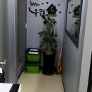 월평중학교 | 엄마들 마음 꽉 잡는 수 단과학원, 우리 동네 월평중 영어힉원 정착기!