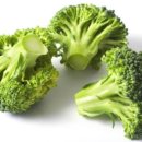 바디핏 휘트니스 이미지