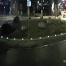 언남초등학교 이미지