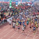 낙동강변17 이미지