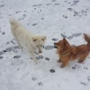 돌고지농장 이미지