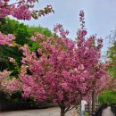 길중농장 이미지