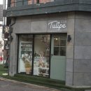 수유 꽃집 수유역 근처 싱그러움 가득한 튤리페