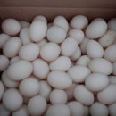 영광군푸드뱅크 이미지