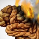 기대 수명 120세 시대… 알츠하이머는 최후의 불치병으로 남을까 이미지