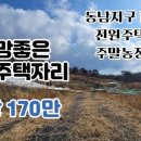태지농장 네이버블로그
