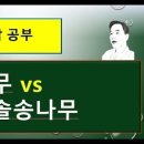 어떤나무K