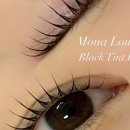 수원-1781 이미지