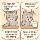 HM소프트 | 책상 위 감성템 찾는다면? 오아 미니 가습기 OA-HM031 리얼 사용 후기!