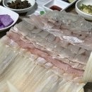 부산 반여동 새총횟집 내돈내산 후기: 자연산활어 대대대맛집(5만원 코스 후기)
