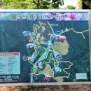 심천치유자연휴양림 이미지