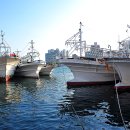 방어진위판장화장실 이미지