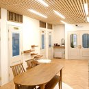 쁘띠애견미용실 이미지