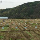 한강농장 이미지