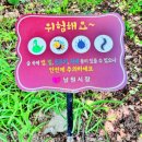 서도보건진료소 이미지