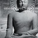 지의진 이미지