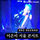 MOVE:ON | 이은미 서울 콘서트 리뷰 MOVE ON 라이브 투어 후기 광화문 세종문화회관