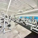 프로라이프짐 이미지