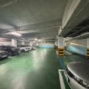 약지애견카페 서창점 이미지