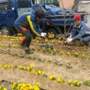 학익2동 주민센터 이미지