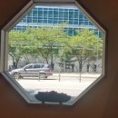 초밥본스시 이미지