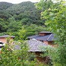 상이리 계곡 이미지