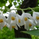 묵현로25번길37 이미지