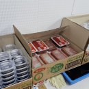 거제활어 이미지