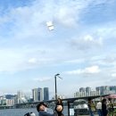 종이비행기 | 초등아이랑 2025 여의도 한강 종이비행기 축제 후기