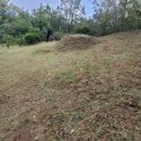 인동낚시터 이미지