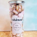 비비모스 이미지