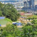 약진로변 이미지