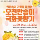 2024 제4회 피나클랜드 국화축제 - 억만송이 가을꽃 대향연 (오천만송이 국화꽃향기) 이미지