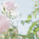 바이미성형외과의원 이미지