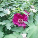 개울건너 민박 이미지