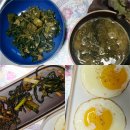 청하 | 진주 외갓집 식재료 + 제주문딱라면 솔직후기 (feat. 별빛청하 집술)