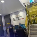 카페피시후 이미지