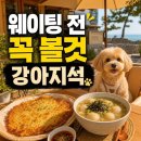강릉 감자적1번지 애견동반 후기: 웨이팅 전 꼭 알아야 할 좌석·주차·메뉴 팁