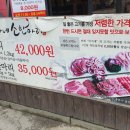 한마리소