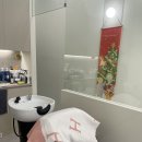 피에스타PC 시흥배곧점 | 리니크헤어 배곧 미용실 두피풀케어 및 모발케어 AI 진단 기반 클리닉 후기