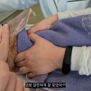 그린펫동물병원 티스토리
